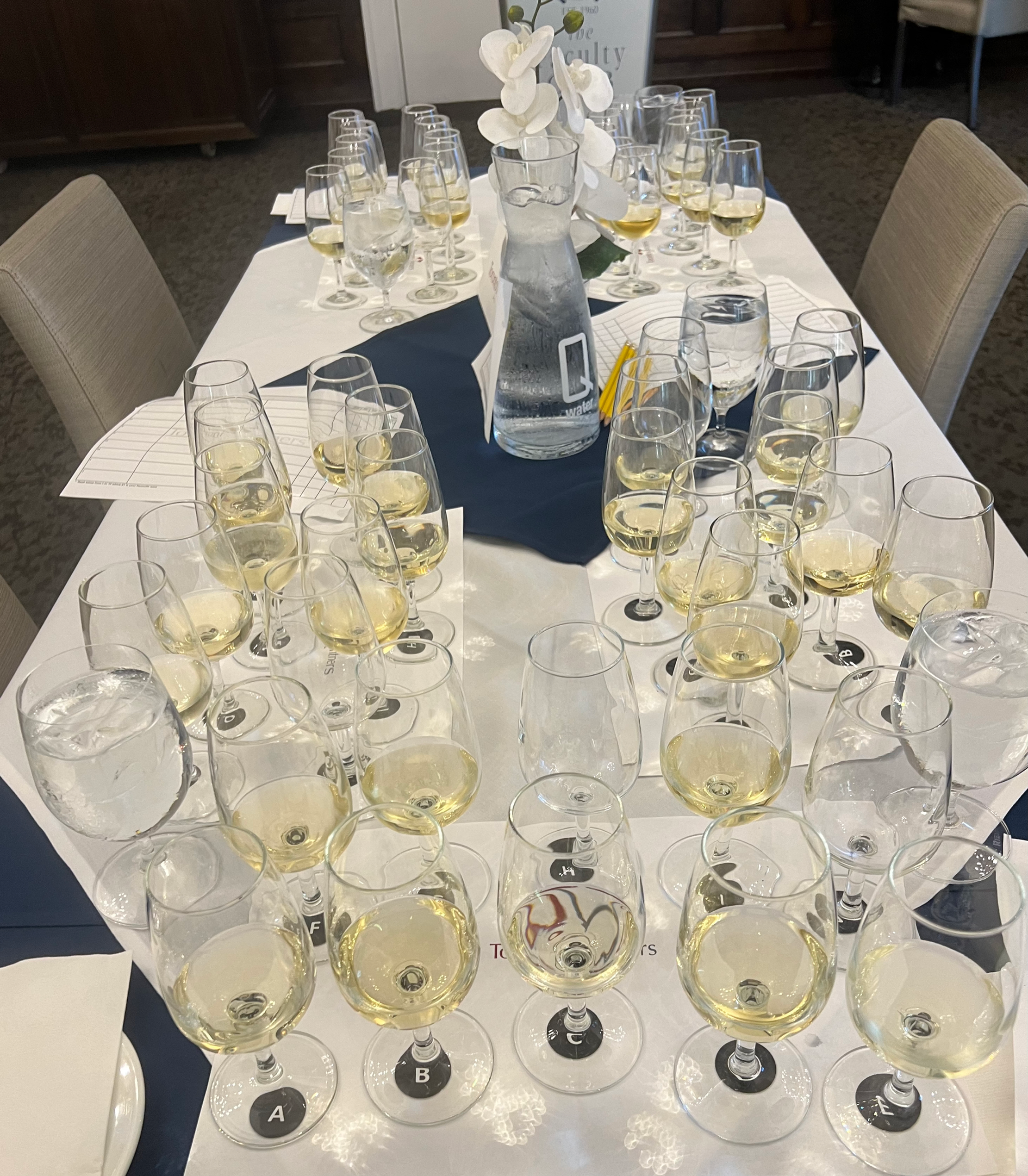 COOL CLIMATE CHARDONNAY IS COOL!